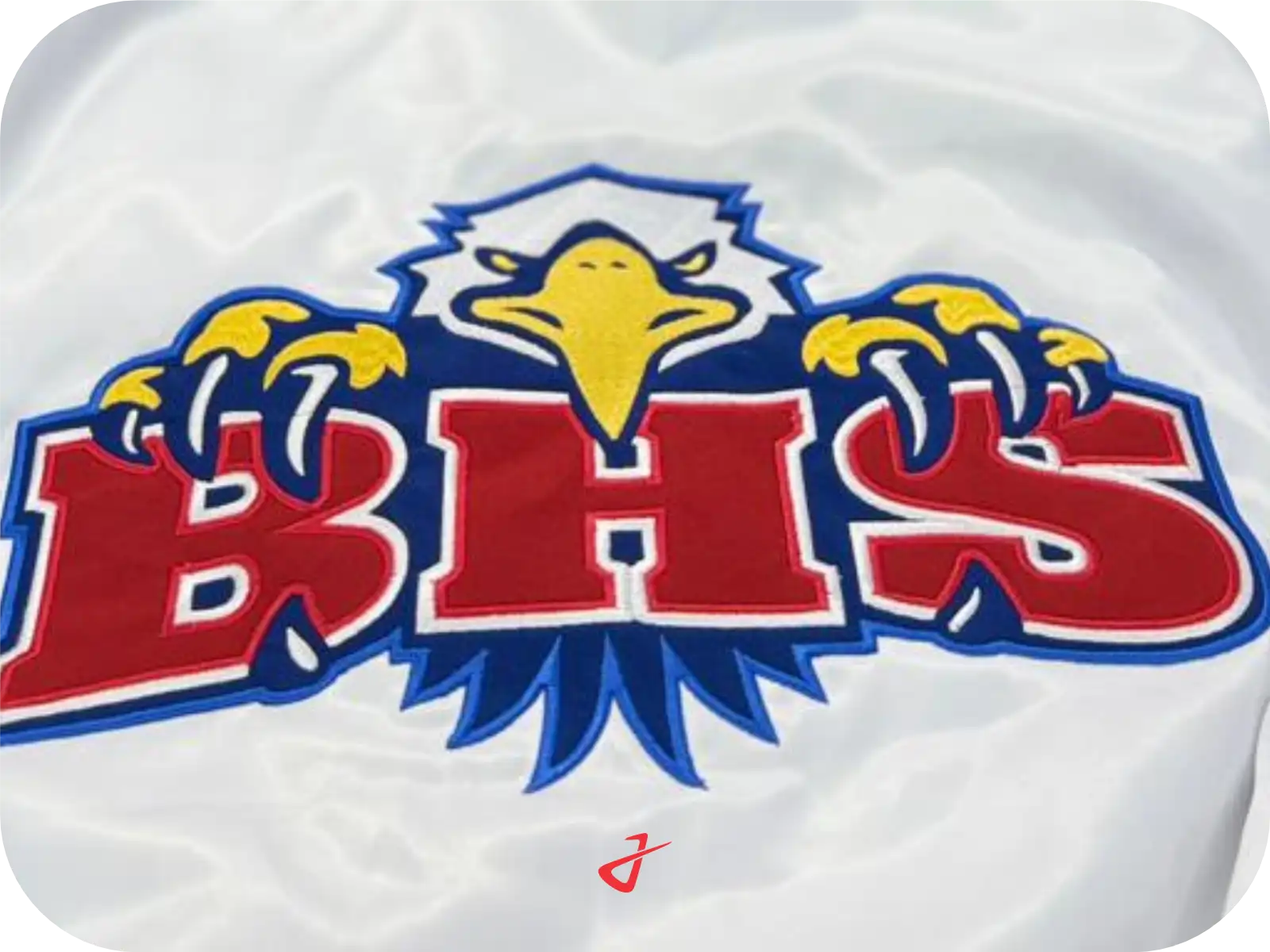 Bhs Eagle - custom digital embroidery on a varsity jacket